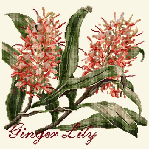 Ginger Lily Needlepoint Kit Elizabeth Bradley Design Winter White 