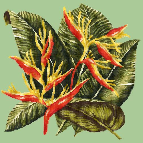 Heliconia Needlepoint Kit Elizabeth Bradley Design Pale Green 