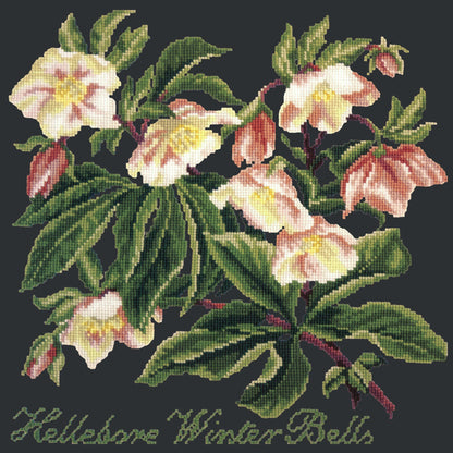 Hellebore Winter Bells Needlepoint Kit Elizabeth Bradley Design Black 