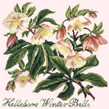 Hellebore Winter Bells Needlepoint Kit Elizabeth Bradley Design Cream 