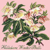 Hellebore Winter Bells Needlepoint Kit Elizabeth Bradley Design Pale Rose 