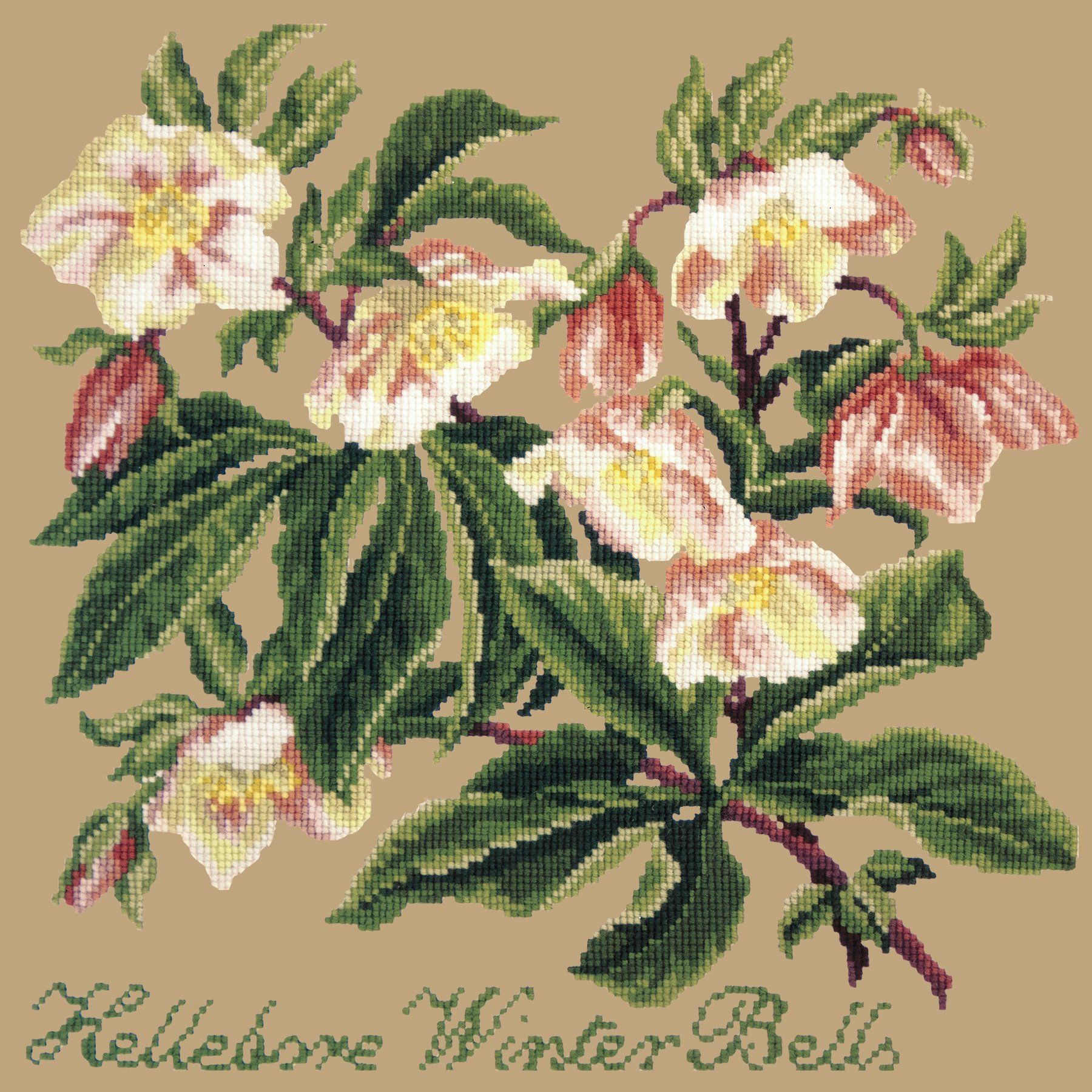 Hellebore Winter Bells Needlepoint Kit Elizabeth Bradley Design Sand 