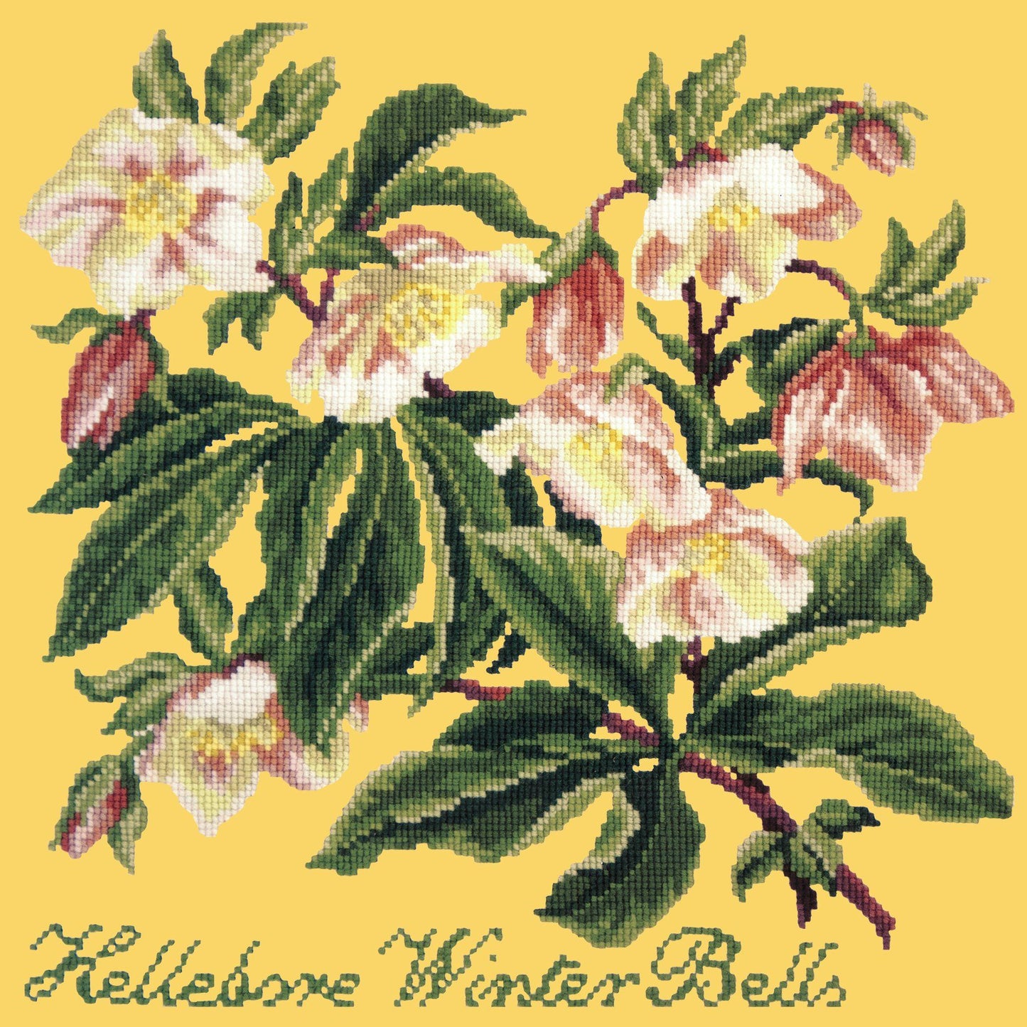 Hellebore Winter Bells Needlepoint Kit Elizabeth Bradley Design Sunflower Yellow 