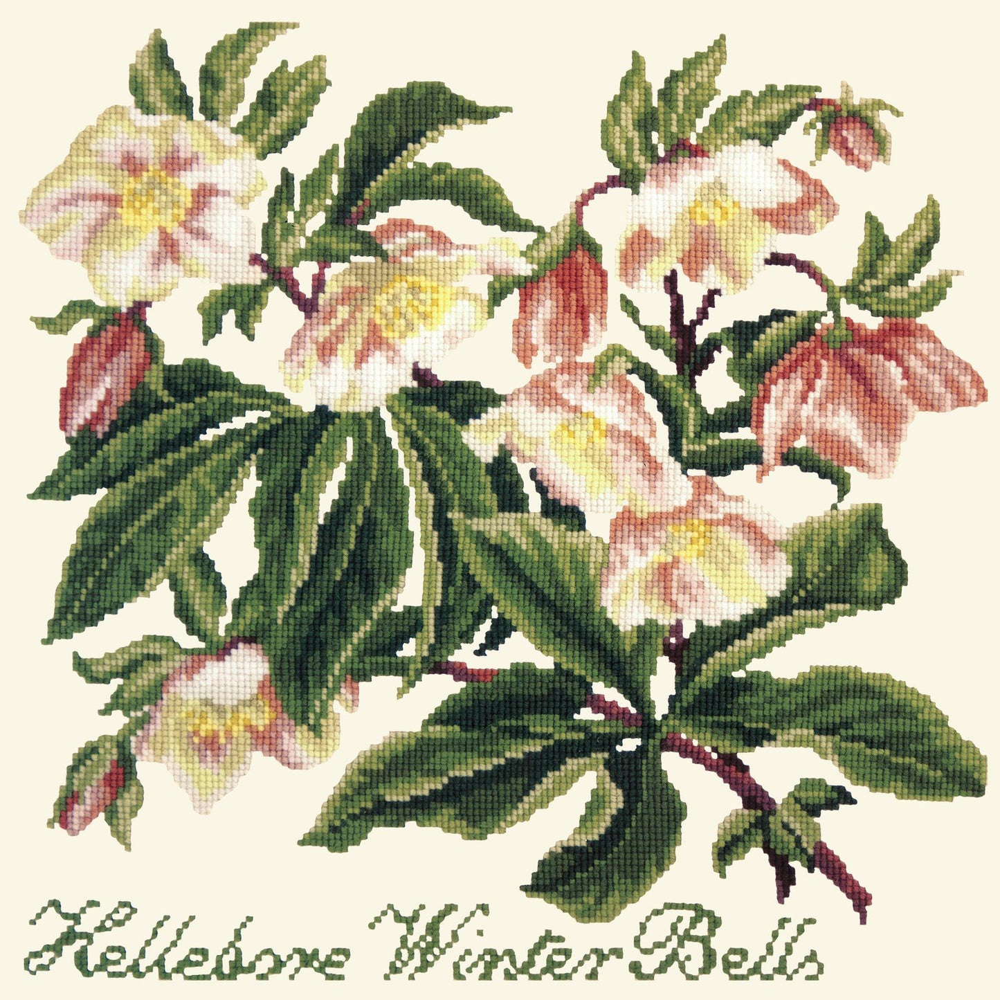 Hellebore Winter Bells Needlepoint Kit Elizabeth Bradley Design Winter White 