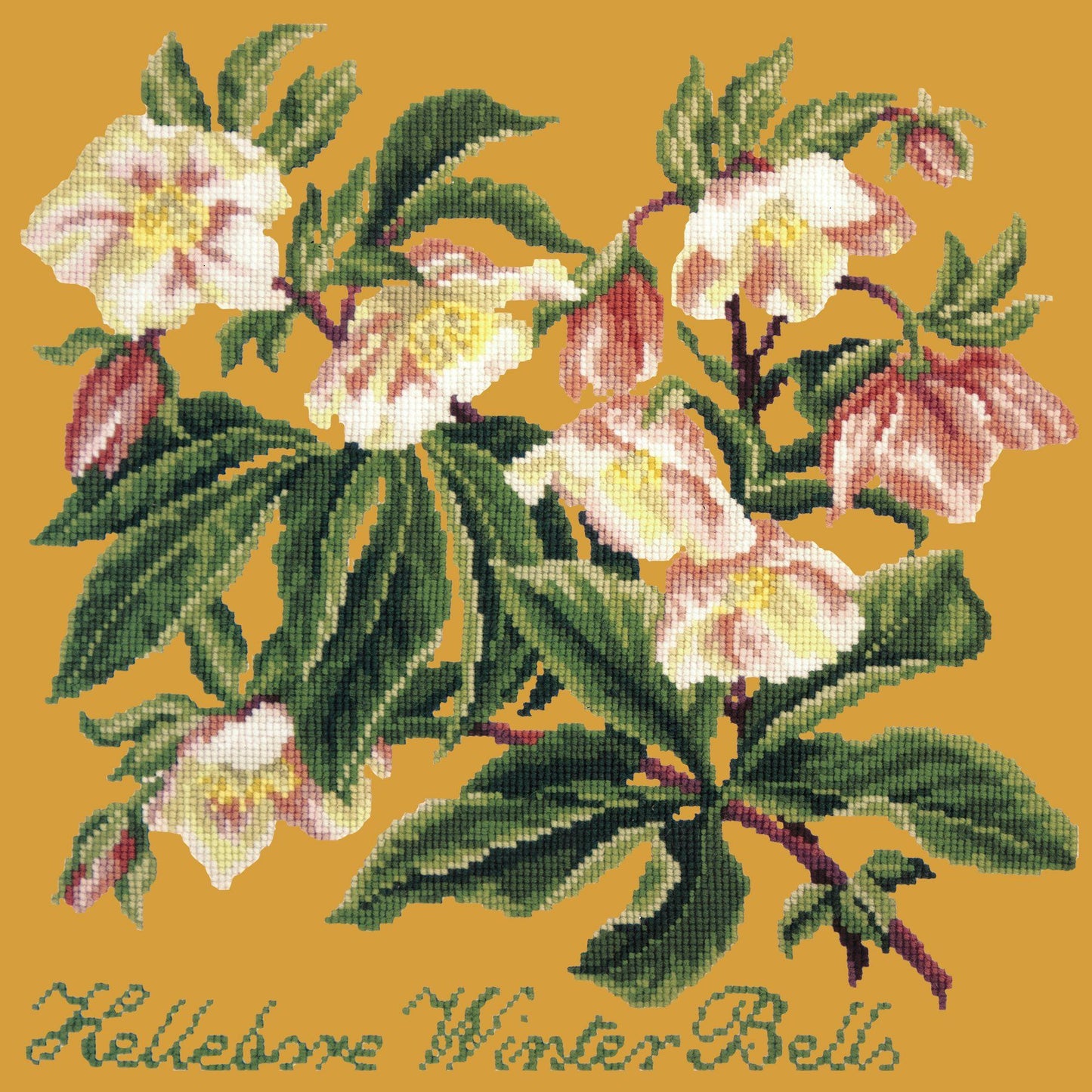 Hellebore Winter Bells Needlepoint Kit Elizabeth Bradley Design Yellow 