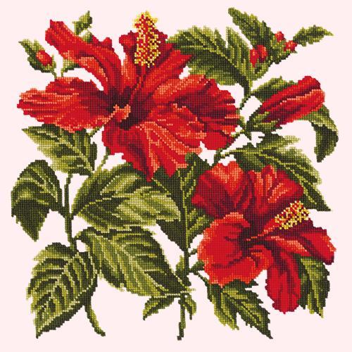 Hibiscus Needlepoint Kit Elizabeth Bradley Design Cream 