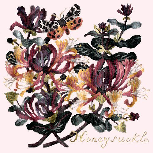 Honeysuckle Needlepoint Kit Elizabeth Bradley Design Cream 