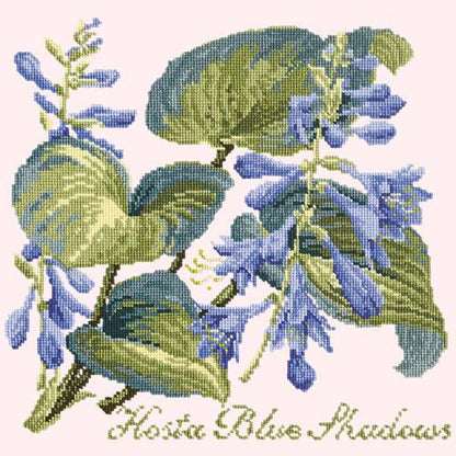 Hosta Blue Shadows Needlepoint Kit Elizabeth Bradley Design Cream 