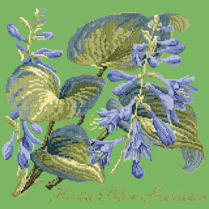 Hosta Blue Shadows Needlepoint Kit Elizabeth Bradley Design Grass Green 