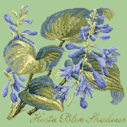 Hosta Blue Shadows Needlepoint Kit Elizabeth Bradley Design Pale Green 