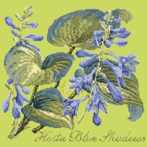 Hosta Blue Shadows Needlepoint Kit Elizabeth Bradley Design Pale Lime 