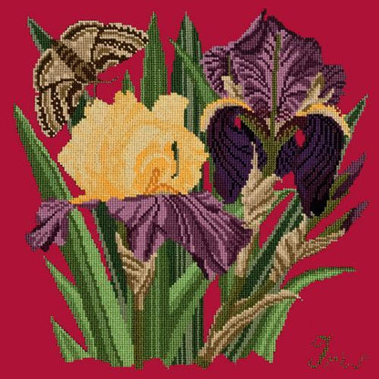 Iris Needlepoint Kit Elizabeth Bradley Design Bright Red 