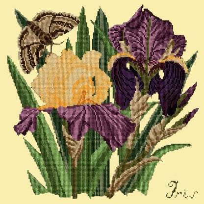 Iris Needlepoint Kit Elizabeth Bradley Design Butter Yellow 