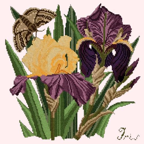 Iris Needlepoint Kit Elizabeth Bradley Design Cream 