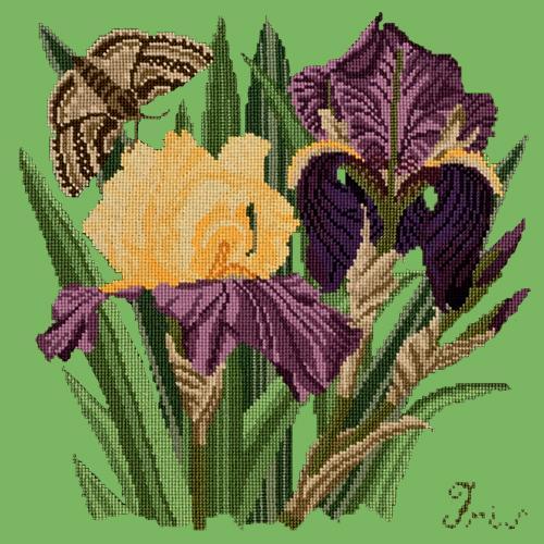 Iris Needlepoint Kit Elizabeth Bradley Design Grass Green 