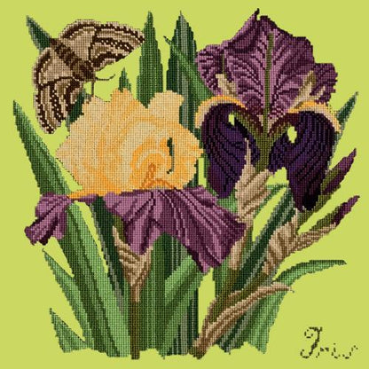 Iris Needlepoint Kit Elizabeth Bradley Design Pale Lime 