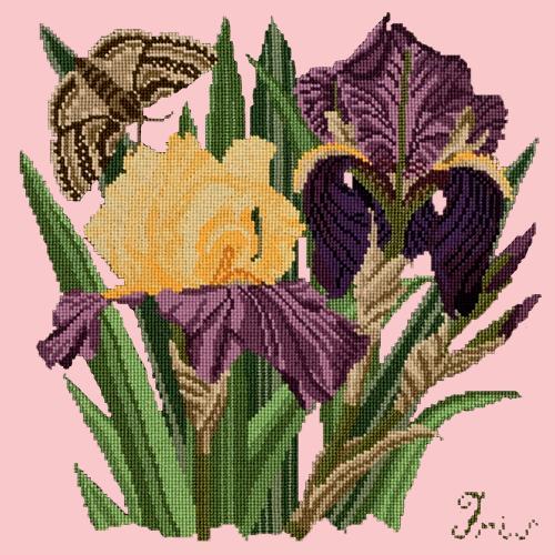 Iris Needlepoint Kit Elizabeth Bradley Design Pale Rose 