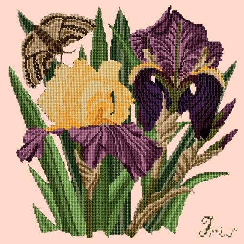 Iris Needlepoint Kit Elizabeth Bradley Design Salmon Pink 