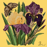 Iris Needlepoint Kit Elizabeth Bradley Design Sunflower Yellow 