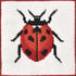 Lady Bird