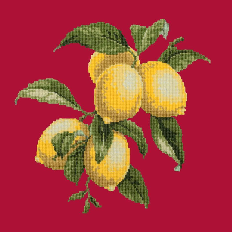 Lemons Needlepoint Kit Elizabeth Bradley Design Bright Red 