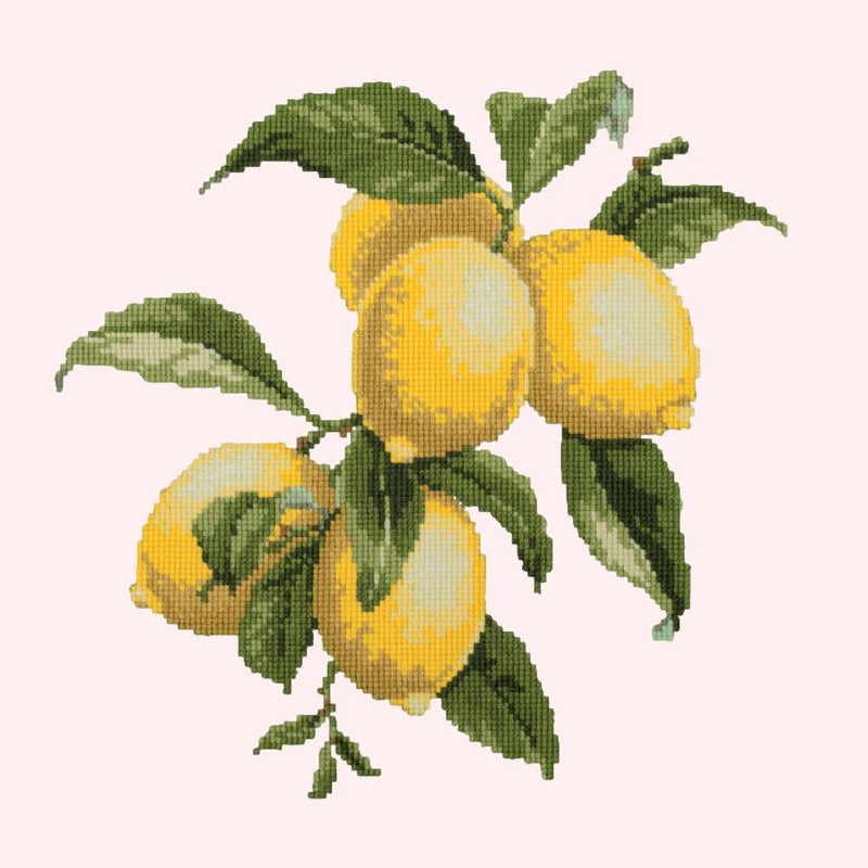 Lemons Needlepoint Kit Elizabeth Bradley Design Cream 
