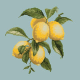 Lemons Needlepoint Kit Elizabeth Bradley Design Pale Blue 