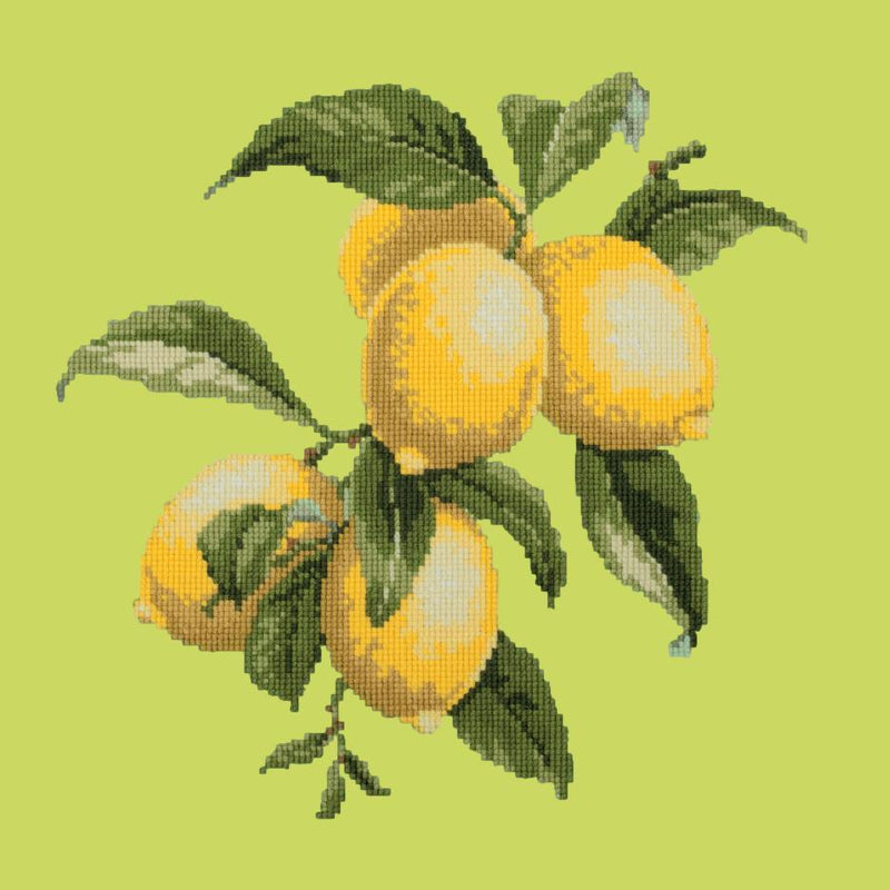 Lemons Needlepoint Kit Elizabeth Bradley Design Pale Lime 