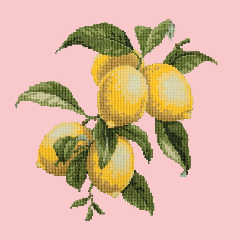 Lemons Needlepoint Kit Elizabeth Bradley Design Pale Rose 