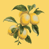 Lemons Needlepoint Kit Elizabeth Bradley Design Sunflower Yellow 