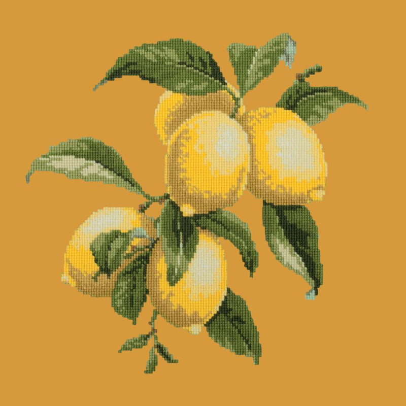 Lemons Needlepoint Kit Elizabeth Bradley Design Yellow 