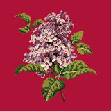 Lilac Needlepoint Kit Elizabeth Bradley Design Bright Red 
