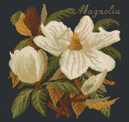 Magnolia