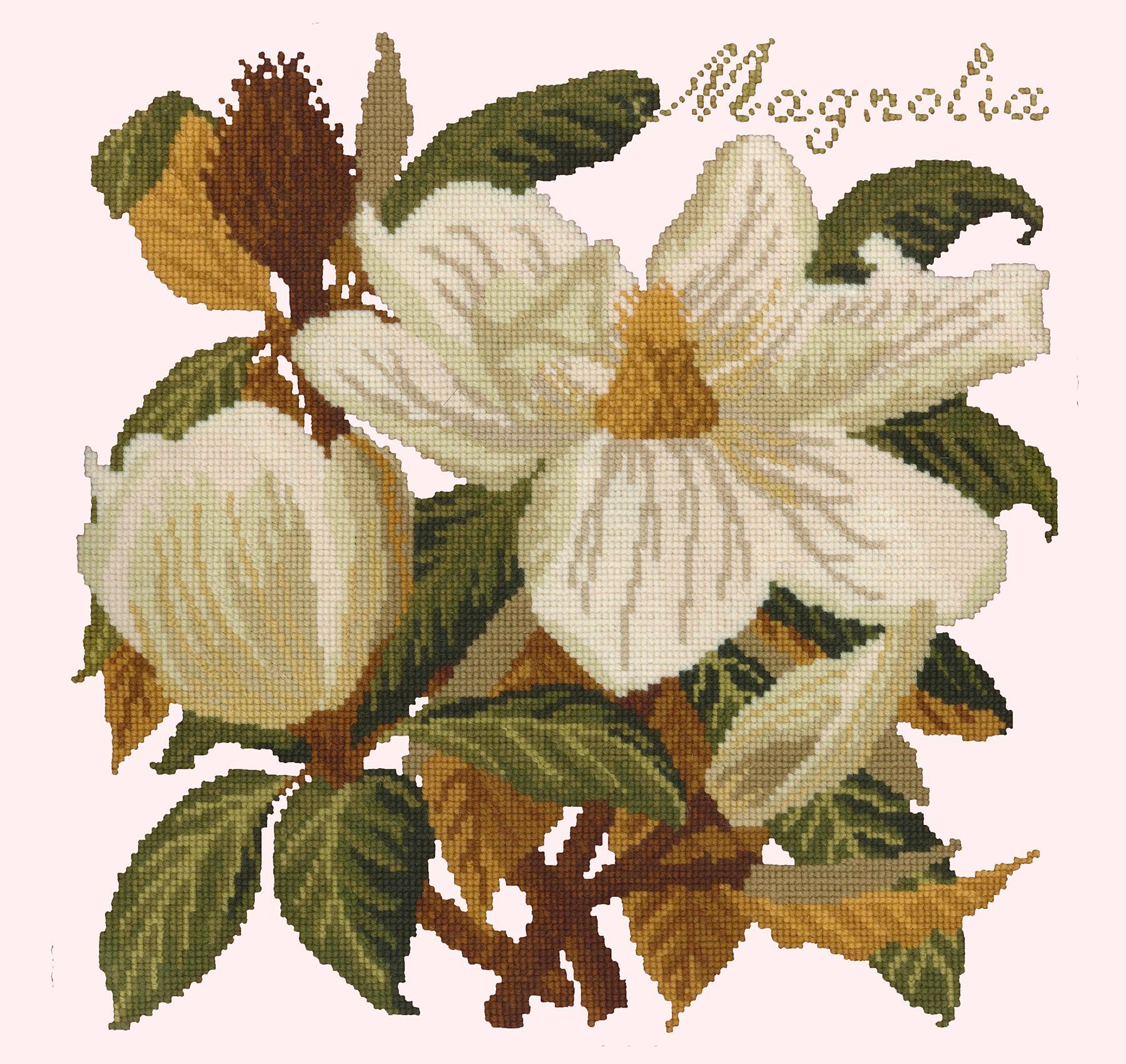 Magnolia Needlepoint Kit Elizabeth Bradley Design Cream 