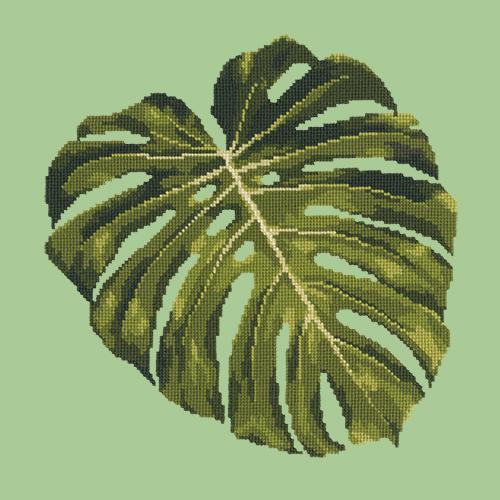 philodendron gloriosum arten Philodendron Gloriosum - Philodendron Gloriosum