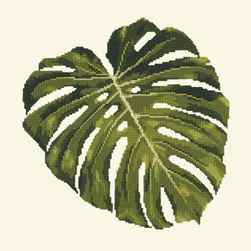 Monstera Leaf Needlepoint Kit Elizabeth Bradley Design Winter White 