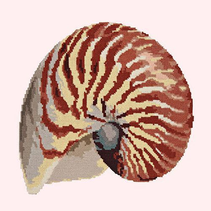 Nautilus Needlepoint Kit Elizabeth Bradley Design Cream 