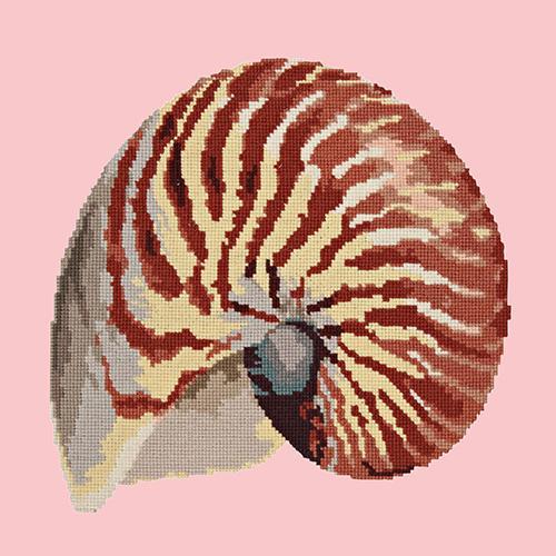 Nautilus Needlepoint Kit Elizabeth Bradley Design Pale Rose 