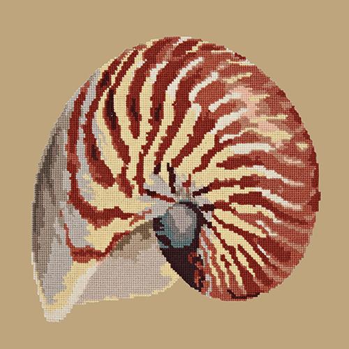 Nautilus Needlepoint Kit Elizabeth Bradley Design Sand 