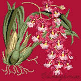 Odontoglossum (Tiger Orchid) Needlepoint Kit Elizabeth Bradley Design Bright Red 