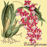 Odontoglossum (Tiger Orchid) Needlepoint Kit Elizabeth Bradley Design Butter Yellow 