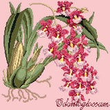 Odontoglossum (Tiger Orchid) Needlepoint Kit Elizabeth Bradley Design Pale Rose 