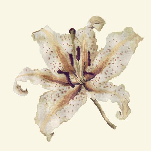 Oriental Lily Needlepoint Kit Elizabeth Bradley Design Winter White 