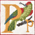 P-Parrot