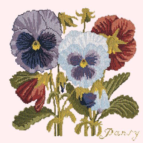 Pansy Needlepoint Kit Elizabeth Bradley Design Cream 