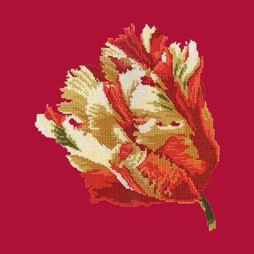 Parrot Tulip Needlepoint Kit Elizabeth Bradley Design Bright Red 