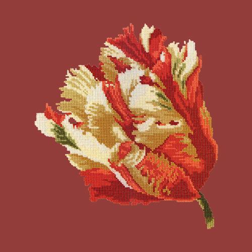 Parrot Tulip Needlepoint Kit Elizabeth Bradley Design Dark Red 