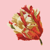 Parrot Tulip Needlepoint Kit Elizabeth Bradley Design Pale Rose 