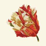 Parrot Tulip Needlepoint Kit Elizabeth Bradley Design Winter White 