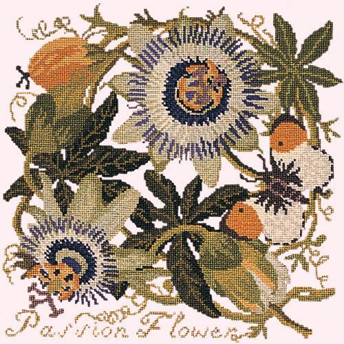 Passion Flower Needlepoint Kit Elizabeth Bradley Design Cream 